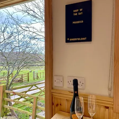 豪华帐篷 Lowgingerfield Shepherd Hut 里士满