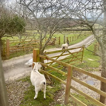 豪华帐篷 Lowgingerfield Shepherd Hut *
